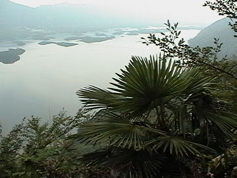 灵山图片
