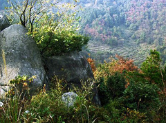 梅岭图片