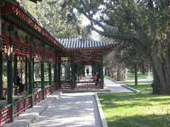 中山公园图片