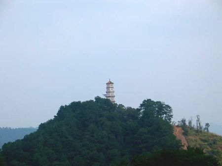 梧州双塔图片