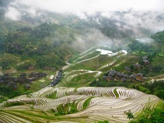 龙脊梯田图片