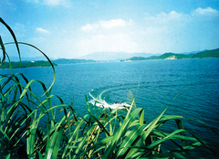 仙女湖图片