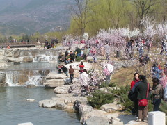 雁栖湖 2