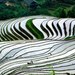 龙脊梯田