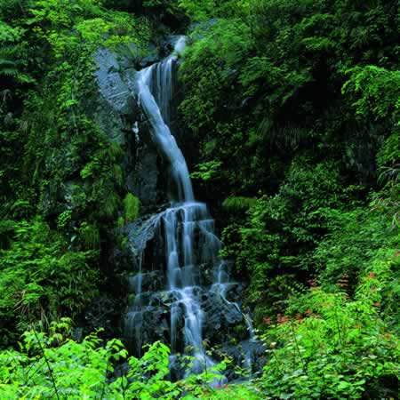 黄岩峡谷图片