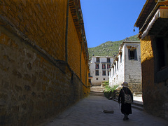 哲蚌寺图片