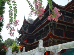 <成都3日自助游>成都丽澳酒店，近望江公园