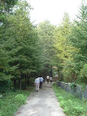 东庵森林公园图片