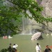 青田石门洞