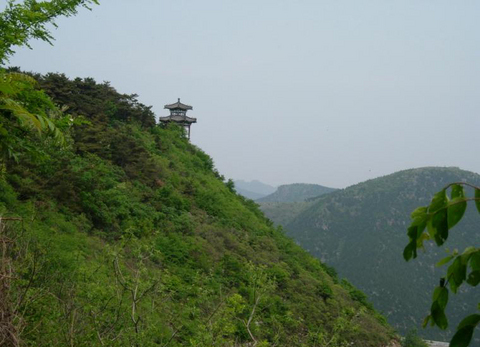 127407 - 青州的照片\/潍坊\/山东