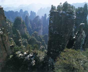 神塘湾图片
