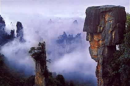 武士驯马图片