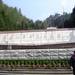 井冈山革命烈士陵园
