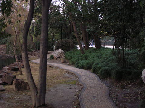 上海财经大学图片