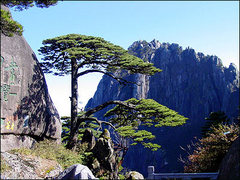 黄山 6