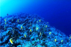 海底世界 