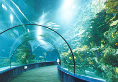 海底世界图片