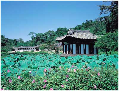 江陵船桥庄图片