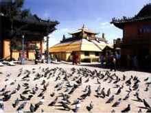 甘丹寺图片