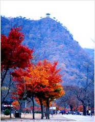 内藏山国立公园 