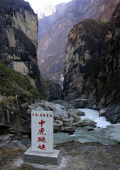 中虎跳图片