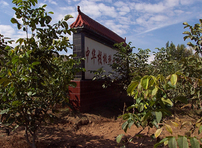核桃园图片