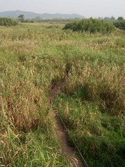 莫干山图片