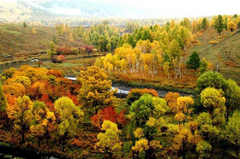 阿尔山国家森林公园图片