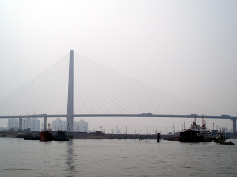 海河图片