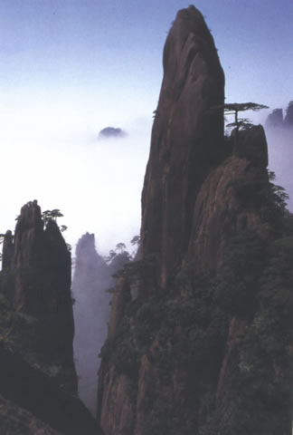 南清园图片