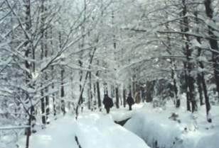 平岗积雪图片