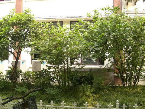复旦大学图片