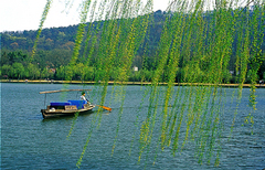苏州到(杭州西湖-黄龙洞-飞来峰1日游)天天发班，含西湖游