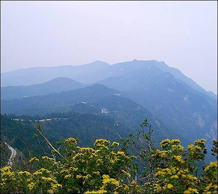 双峰山森林公园图片