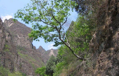 狼牙山图片