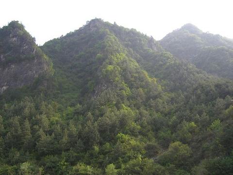 老君山图片