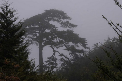 永安 - 永安的照片\/三明\/福建