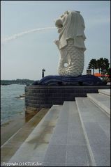 鱼尾狮公园 yu1