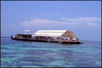 payarmarineparkc1