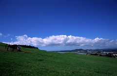 济州岛 济州岛3