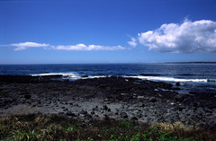 济州岛 济州岛12