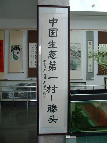 滕头村图片