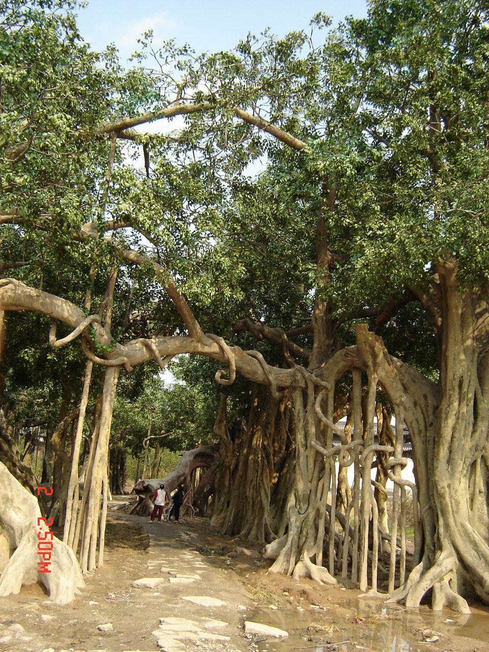 象山影视城1 - 象山影视城