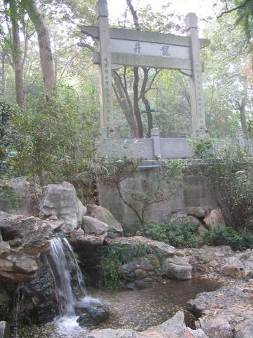 龙井图片