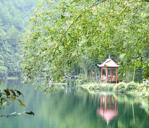芙蓉谷风景区图片