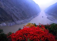 <上海-九江-黄鹤楼-荆州古城-三峡-神农架-武隆-重庆车去卧回11日>舞动长江，畅游三峡