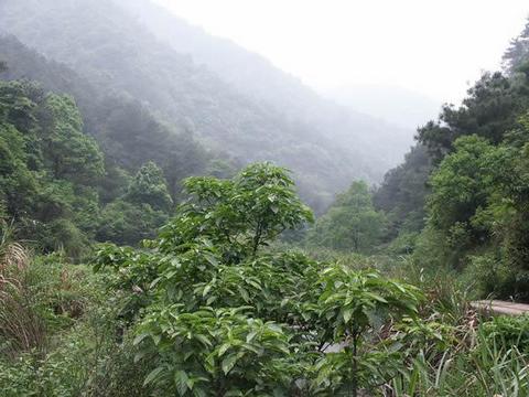 白龙潭图片