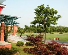 余山国家森林公园图片