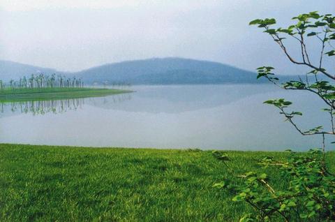 佘山旅游度假区7 - 余山国家森林公园的照片\/松