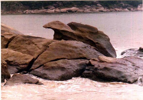竹湾海滩  澳门 澳门 竹湾海滩-小龟石